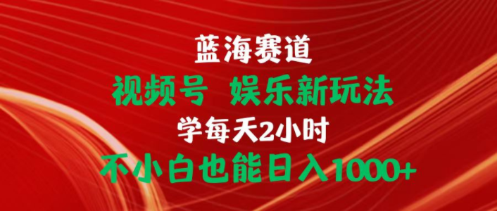 （10818期）蓝海赛道视频号 娱乐新玩法每天2小时小白也能日入1000+-369资源站