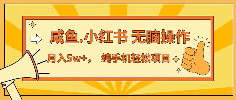 （11524期）2024最赚钱的项目，咸鱼，小红书无脑操作，每单利润500+，轻松月入5万+…-369资源站