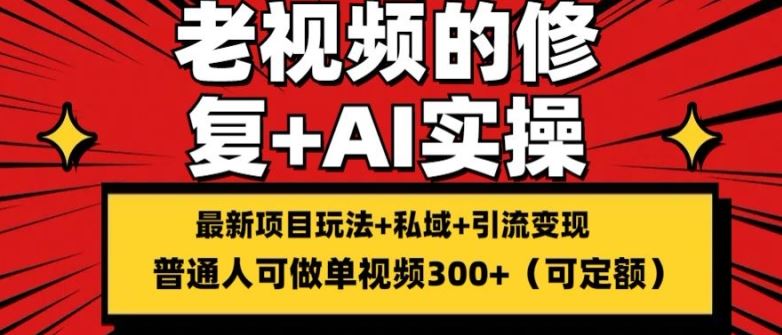 修复老视频的玩法，搬砖+引流的变现(可持久)，单条收益300+【揭秘】-369资源站