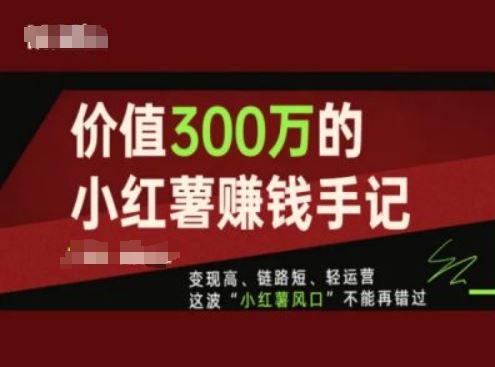 价值300万的小红书赚钱手记，变现高、链路短、轻运营，这波“小红薯风口”不能再错过-369资源站