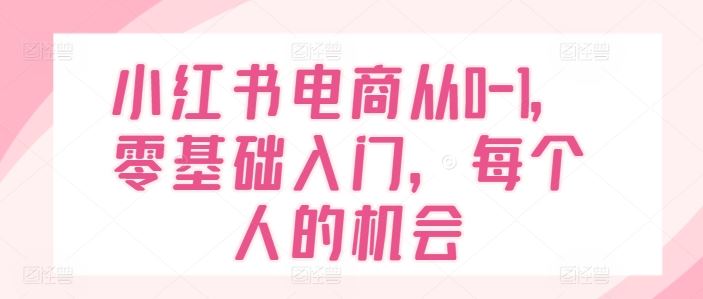 小红书电商从0-1，零基础入门，每个人的机会-369资源站