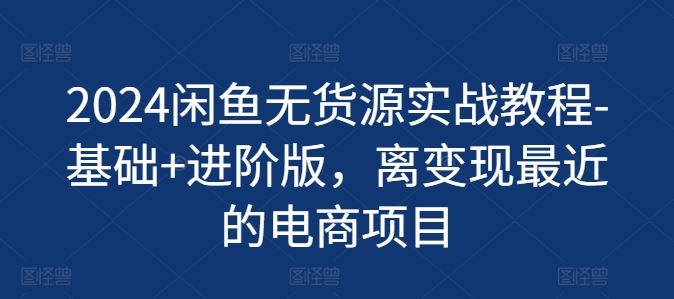 2024闲鱼无货源实战教程-基础+进阶版，离变现最近的电商项目-369资源站