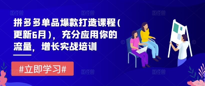 拼多多单品爆款打造课程(更新6月)，充分应用你的流量，增长实战培训-369资源站