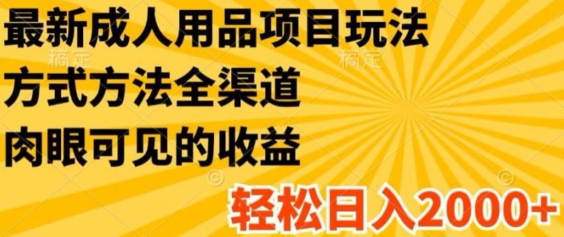 最新成人用品项目玩法，方式方法全渠道，轻松日入2K+【揭秘】-369资源站