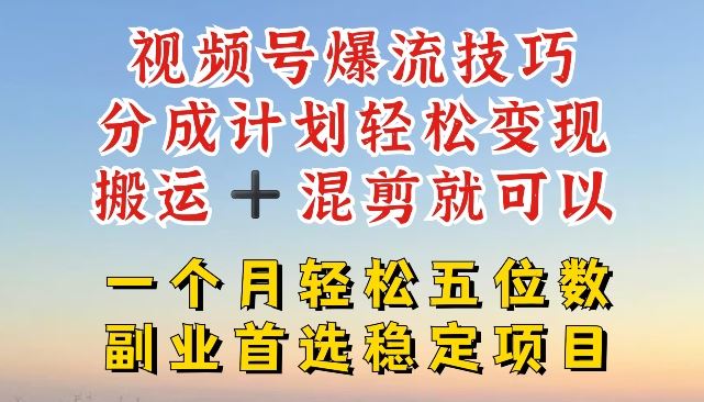 视频号爆流技巧，分成计划轻松变现，搬运 +混剪就可以，一个月轻松五位数稳定项目【揭秘】-369资源站