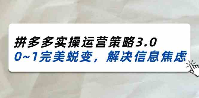 2024-2025拼多多实操运营策略3.0，0~1完美蜕变，解决信息焦虑（38节）-369资源站