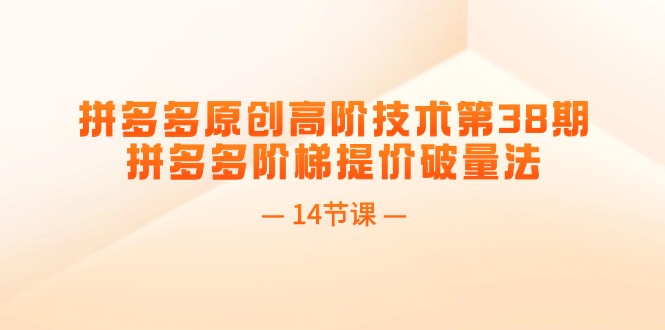 （11704期）拼多多原创高阶技术第38期，拼多多阶梯提价破量法（14节课）-369资源站