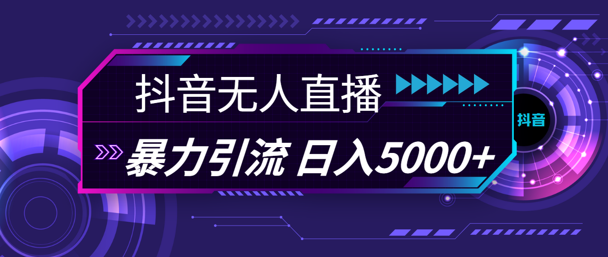 （11709期）抖音无人直播，暴利引流，日入5000+-369资源站