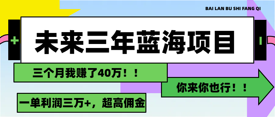 （11716期）未来三年，蓝海赛道，月入3万+-369资源站