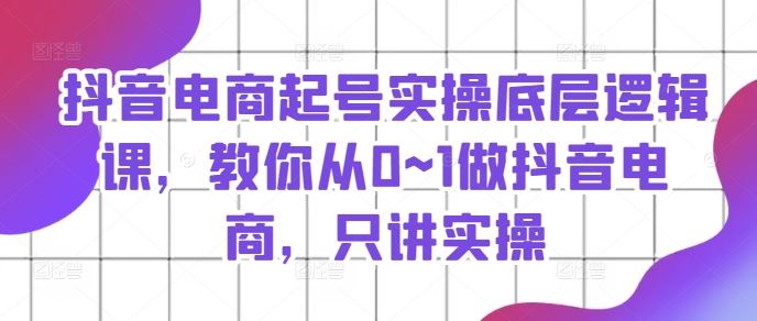 抖音电商起号实操底层逻辑课，教你从0~1做抖音电商，只讲实操-369资源站