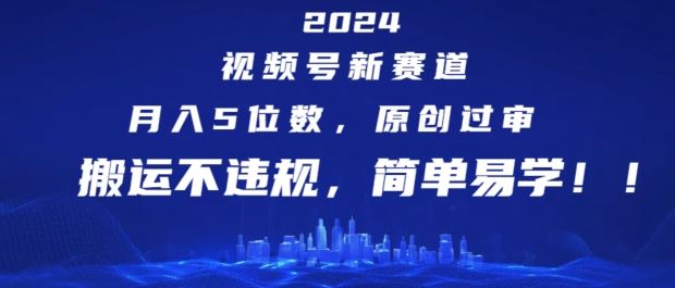 2024视频号新赛道，月入5位数+，原创过审，搬运不违规，简单易学【揭秘】-369资源站