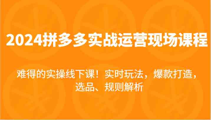 2024拼多多实战运营现场课，实时玩法，爆款打造，选品、规则解析，难得的实操线下课！-369资源站