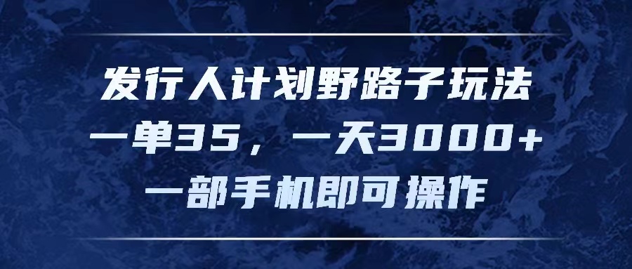 （11750期）发行人计划野路子玩法，一单35，一天3000+，一部手机即可操作-369资源站