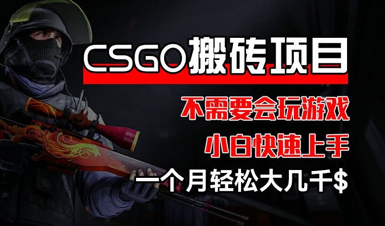 CSGO 装备搬砖项目，操作简单，不需要会玩游戏，小白也能快速上手，一个月轻松大几千【揭秘】-369资源站