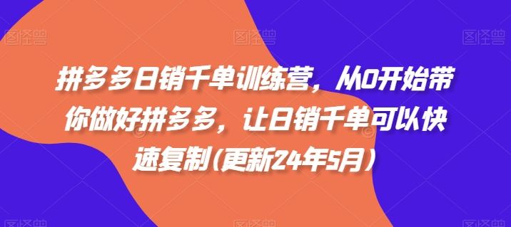 拼多多日销千单训练营，从0开始带你做好拼多多，让日销千单可以快速复制(更新24年7月)-369资源站