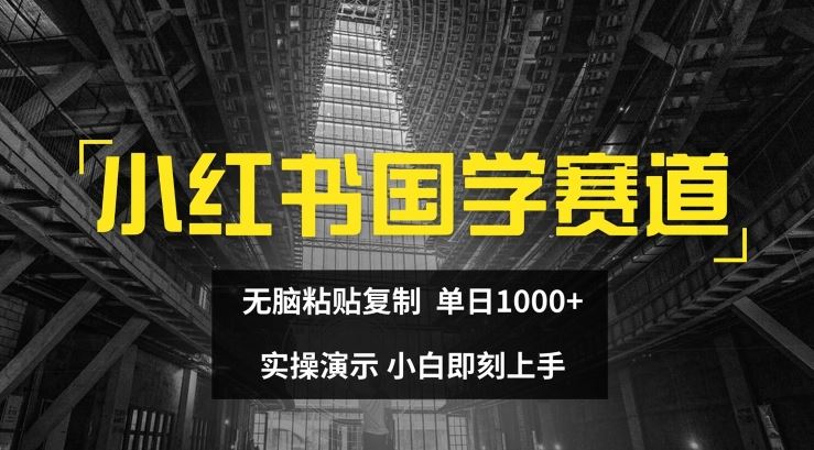 小红书国学赛道，无脑粘贴复制，单日1K，实操演示，小白即刻上手【揭秘】-369资源站