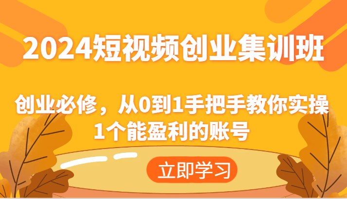 2024短视频创业集训班：创业必修，从0到1手把手教你实操1个能盈利的账号-369资源站