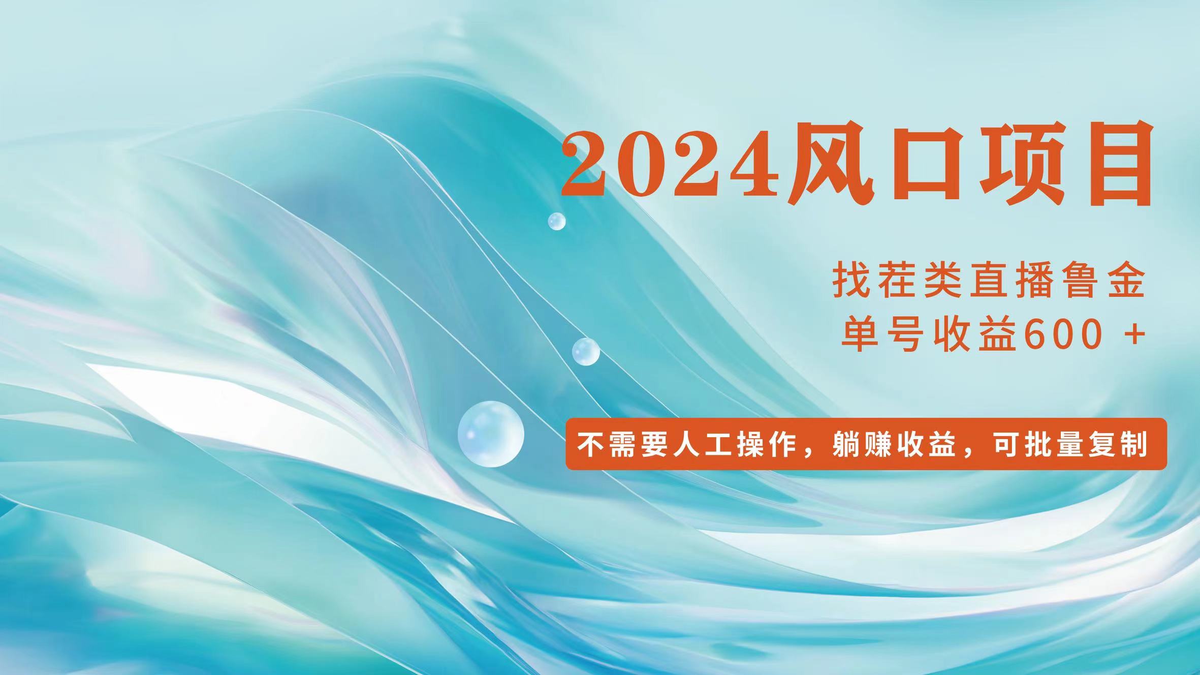 （11868期）小白轻松入手，当天收益600➕，可批量可复制-369资源站