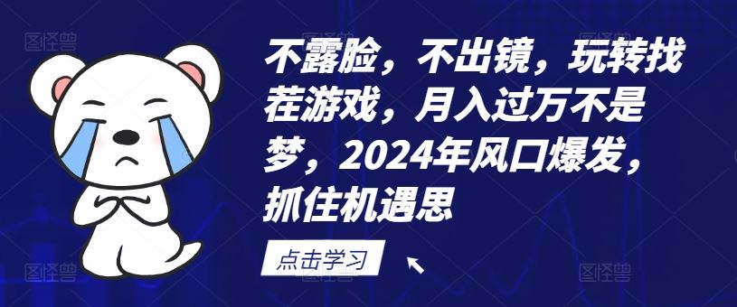 不露脸，不出镜，玩转找茬游戏，月入过万不是梦，2024年风口爆发，抓住机遇【揭秘】-369资源站