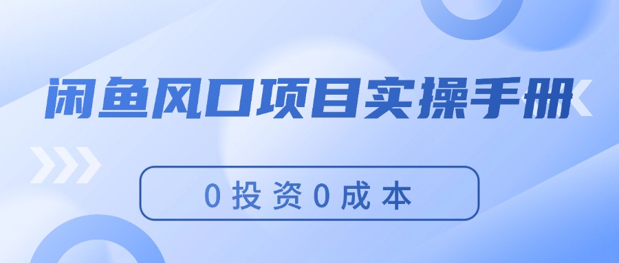 （11923期）闲鱼风口项目实操手册，0投资0成本，让你做到，月入过万，新手可做-369资源站