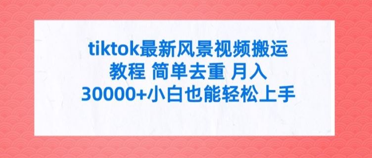 tiktok最新风景视频搬运教程 简单去重 月入3W+小白也能轻松上手【揭秘】-369资源站