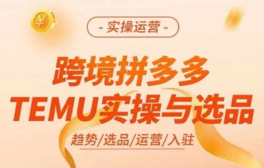 跨境拼多多TEMU实操与选品，多多temu跨境选品运营实操-369资源站