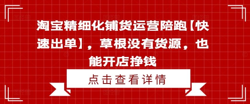 淘宝精细化铺货运营陪跑【快速出单】，草根没有货源，也能开店挣钱-369资源站