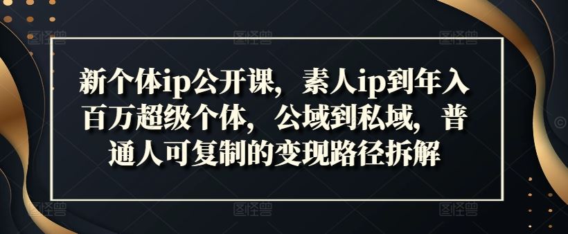 新个体ip公开课，素人ip到年入百万超级个体，公域到私域，普通人可复制的变现路径拆解-369资源站