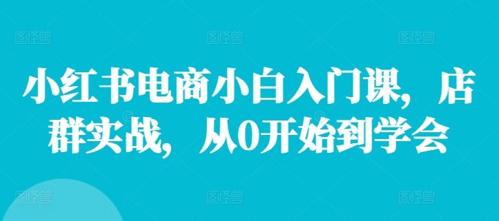 小红书电商小白入门课，店群实战，从0开始到学会-369资源站