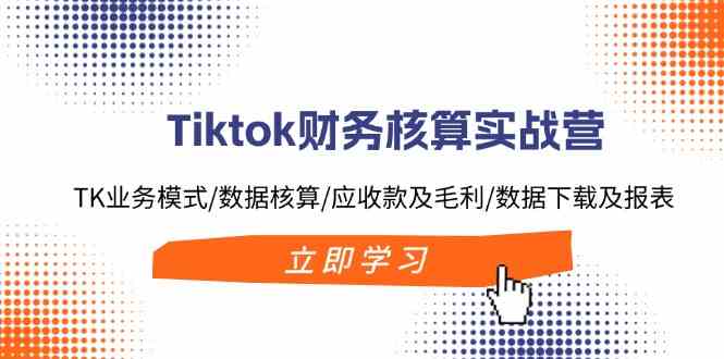 Tiktok财务核算实战营：TK业务模式/数据核算/应收款及毛利/数据下载及报表-369资源站