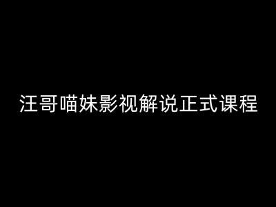 汪哥影视解说正式课程：剪映/PR教学/视解说剪辑5大黄金法则/全流程剪辑7把利器等等-369资源站