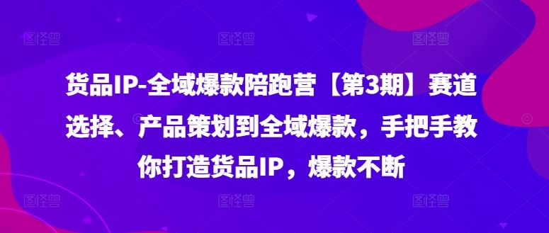 货品IP全域爆款陪跑营【第3期】赛道选择、产品策划到全域爆款，手把手教你打造货品IP，爆款不断-369资源站