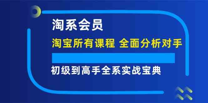 淘系会员初级到高手全系实战宝典【淘宝所有课程，全面分析对手】-369资源站