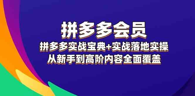 拼多多会员实战宝典+实战落地实操，从新手到高阶内容全面覆盖-369资源站