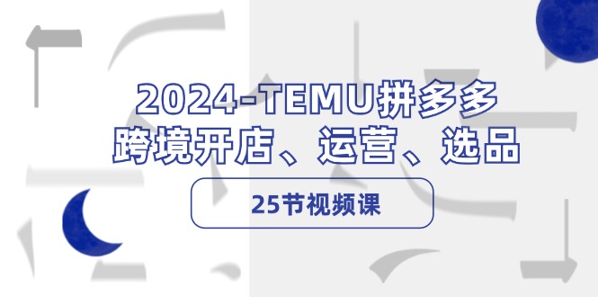 （12106期）2024-TEMU拼多多·跨境开店、运营、选品（25节视频课）-369资源站