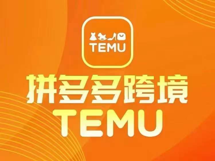 最新TEMU拼多多跨境教程，开店、运营、选品-369资源站