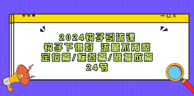 2024钩子引流课：钩子下得好流量不再愁，定位篇/标签篇/破播放篇/24节-369资源站