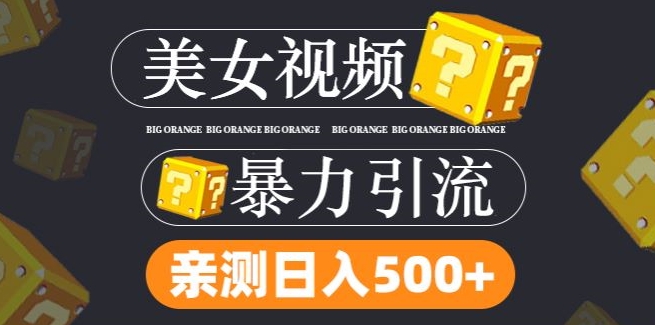 搬运tk美女视频全网分发，日引s粉300+，轻松变现，不限流量不封号-369资源站