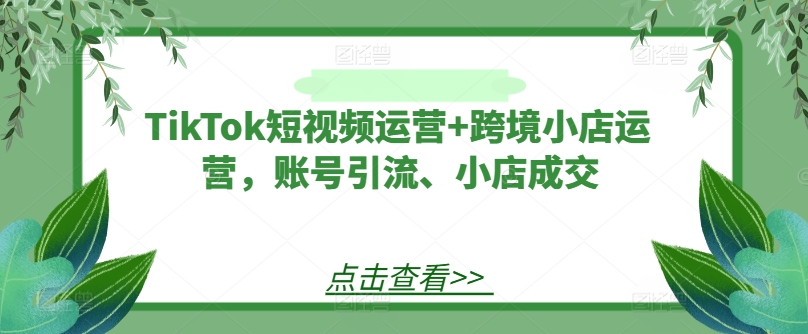 TikTok短视频运营+跨境小店运营，账号引流、小店成交-369资源站