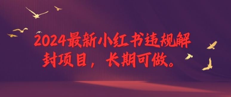 2024最新小红书违规解封项目，长期可做，一个可以做到退休的项目【揭秘】-369资源站