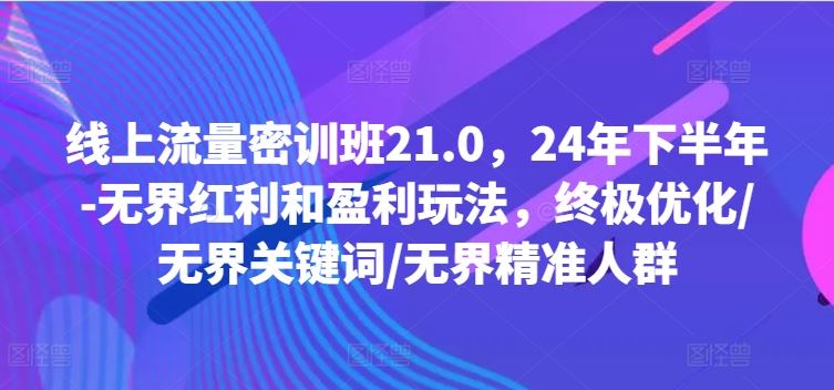 线上流量密训班21.0，24年下半年-无界红利和盈利玩法，终极优化/无界关键词/无界精准人群-369资源站