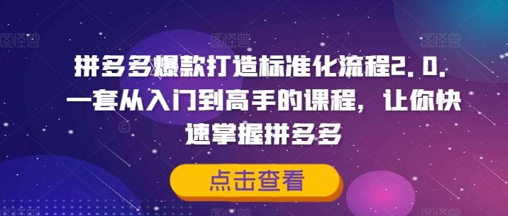 拼多多爆款打造标准化流程2.0，一套从入门到高手的课程，让你快速掌握拼多多-369资源站