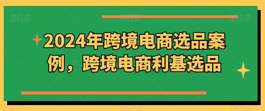 2024年跨境电商选品案例，跨境电商利基选品（更新）-369资源站