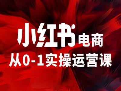 小红书电商从0-1实操运营课，让你从小白到精英-369资源站