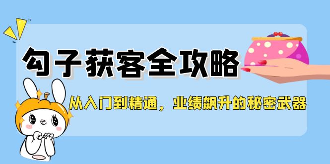 从入门到精通，勾子获客全攻略，业绩飙升的秘密武器-369资源站