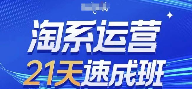 淘系运营21天速成班(更新24年8月)，0基础轻松搞定淘系运营，不做假把式-369资源站