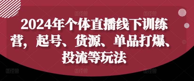 2024年个体直播训练营，起号、货源、单品打爆、投流等玩法-369资源站