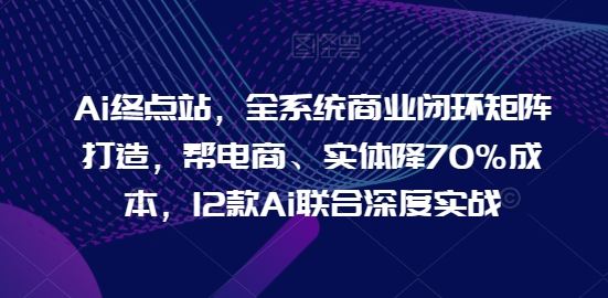 Ai终点站，全系统商业闭环矩阵打造，帮电商、实体降70%成本，12款Ai联合深度实战【0906更新】-369资源站