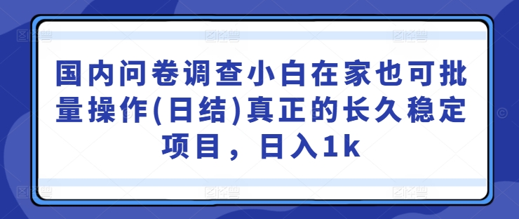 国内问卷调查小白在家也可批量操作(日结)真正的长久稳定项目，日入1k【揭秘】-369资源站