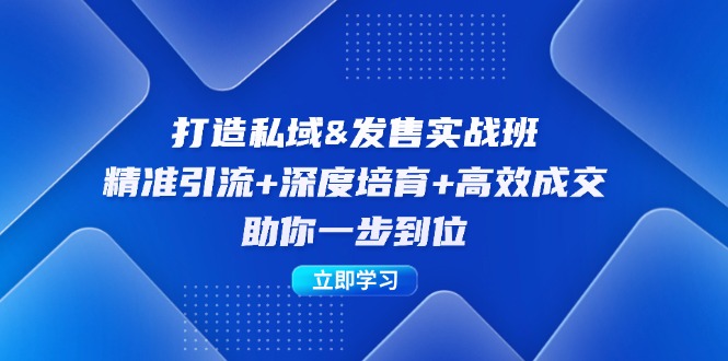 打造私域&发售实操班：精准引流+深度培育+高效成交，助你一步到位-369资源站